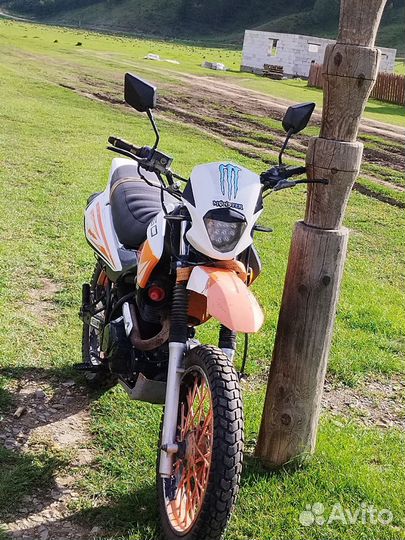 Продаю racer rc250GY panther