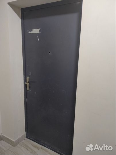 Дверь металлическая входная