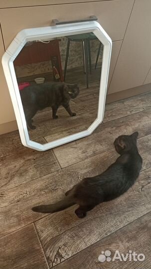 Зеркало настенное