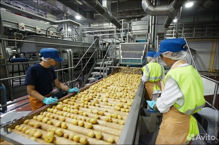 Вахта упаковщик чипсов Москва