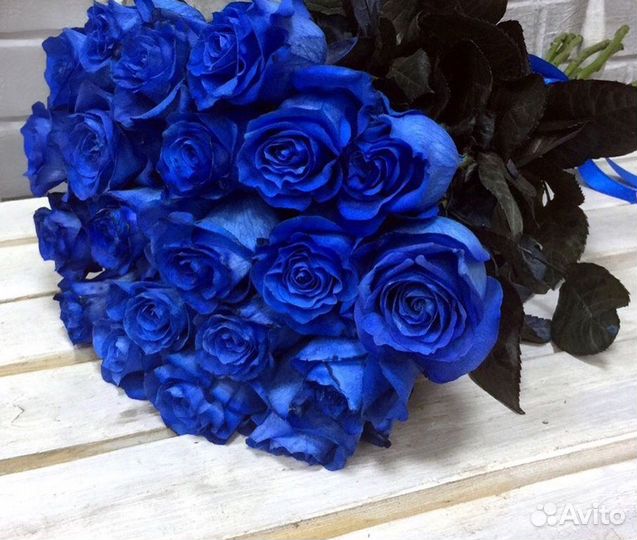 Синие Розы Натуральные Букет и Штучно / Доставка