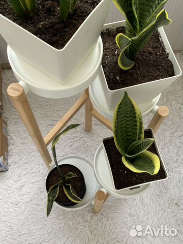 Подставка для растений с 4 полками сатсумас объявление продам