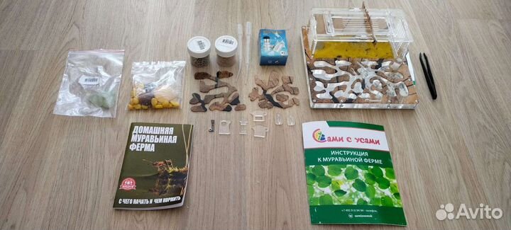 Муравьиная ферма