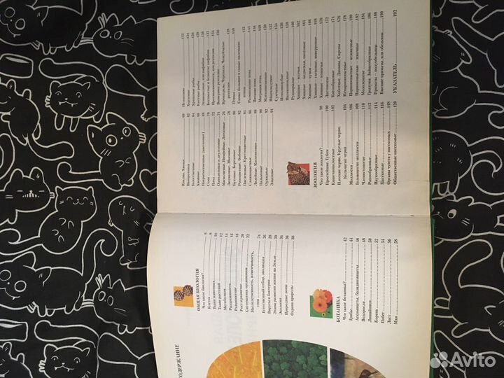 Энциклопедии