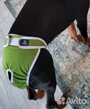 Трусы гигиенические многоразовые для собак