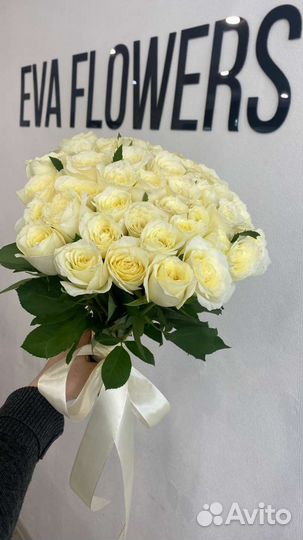 Белые розы 101