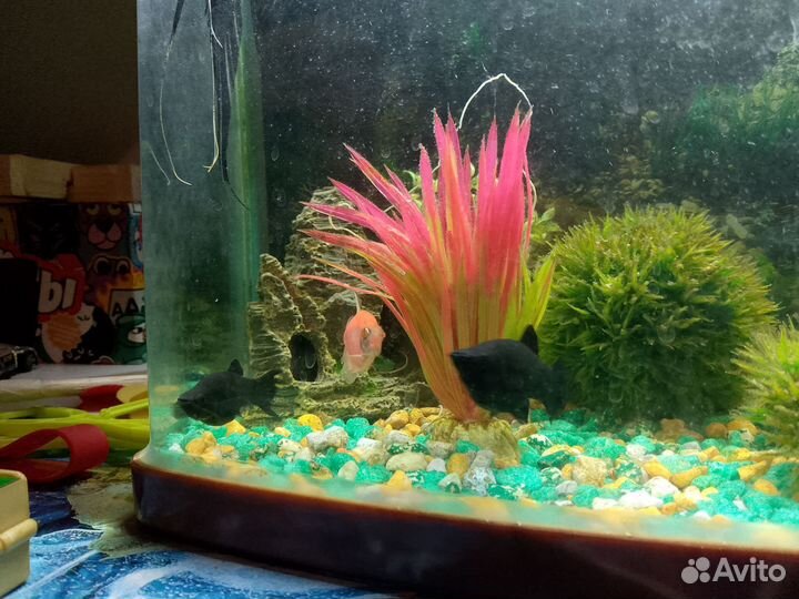 Продаю рыбак