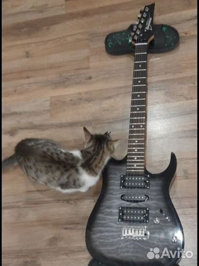 Электро гитара ibanez Gio