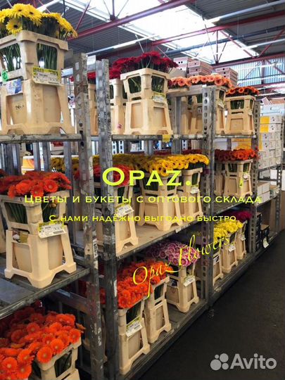 Эквадорские розы Цветы Доставка