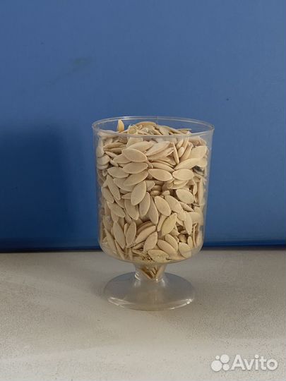 Семена огурцов