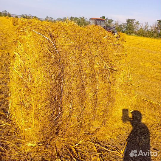 Сено в рулонах