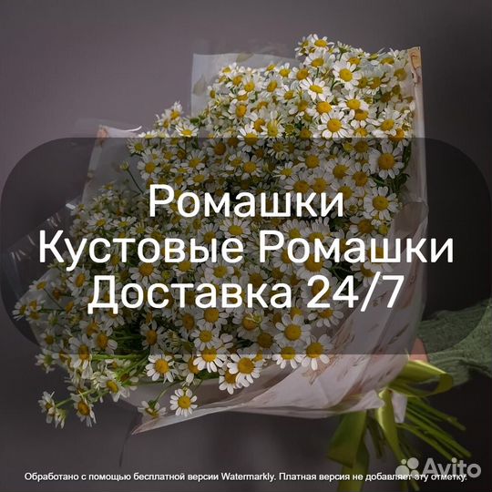 Ромашки Цветы Букет с Доставкой