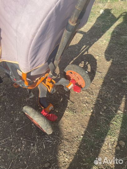 Трехколесный велосипед lamborghini