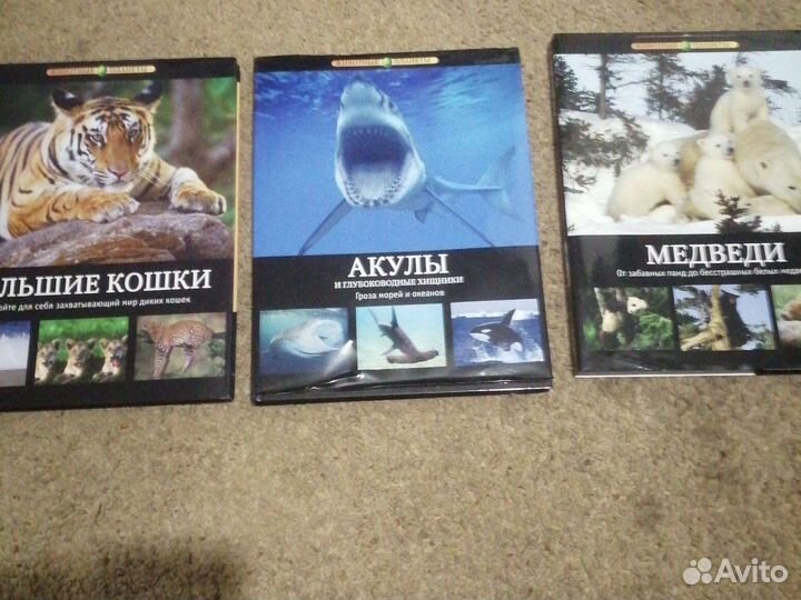 Книги животные планеты