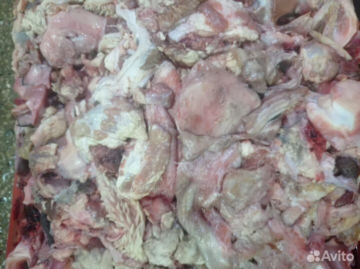 Свинина, курица,говядина