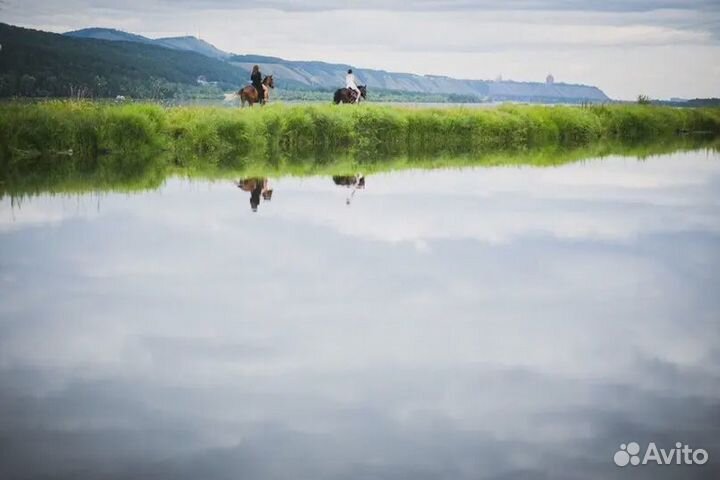 Конная прогулка вдоль Енисея
