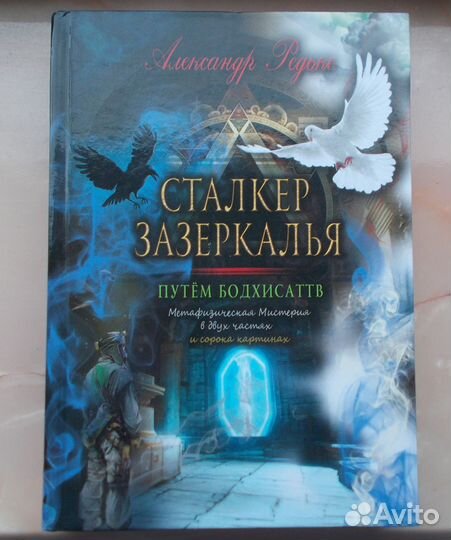 Сталкер зазеркалья. Александр Редько. Новая