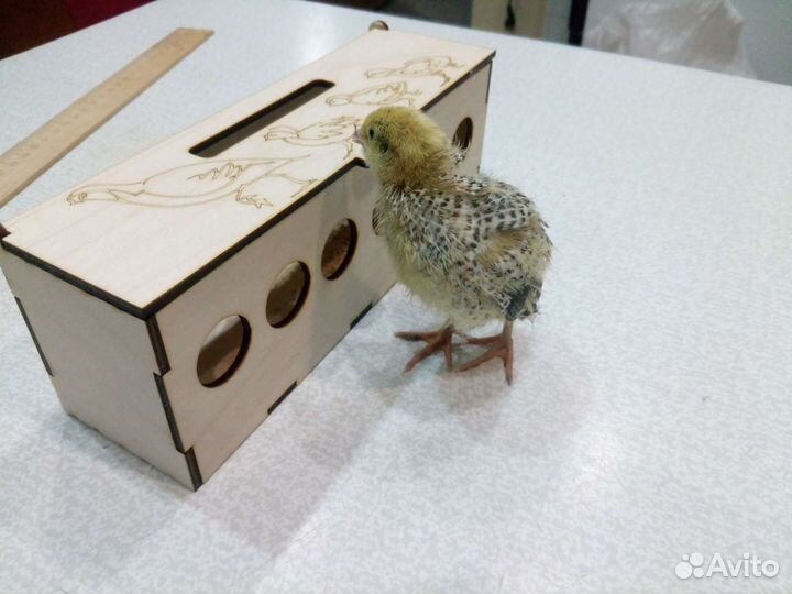 Кормушка для мелких питомцев