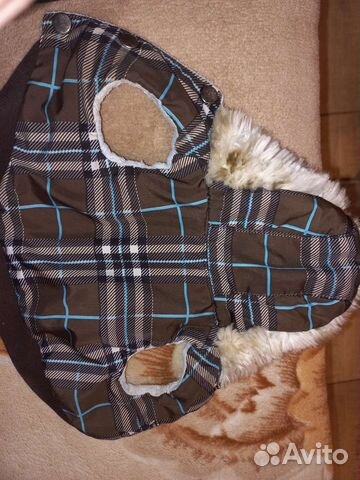 Одежда для маленьких собак