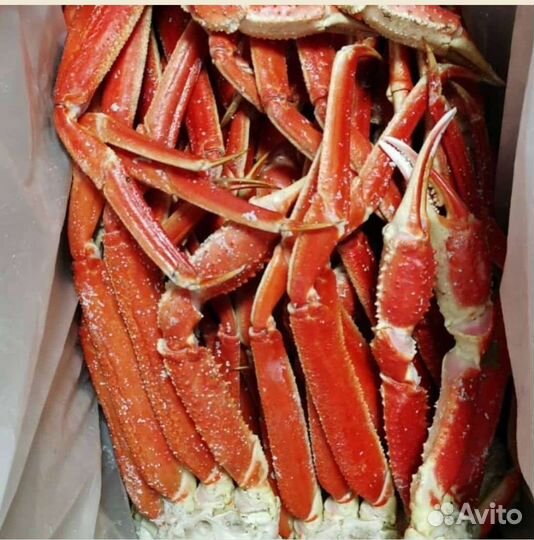 Краб Стригун конечности коробка 4 кг