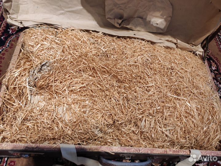 Сервиз Мадонна STP Германия