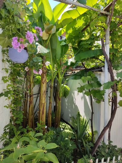 Комната 12 м², 1/1 эт.