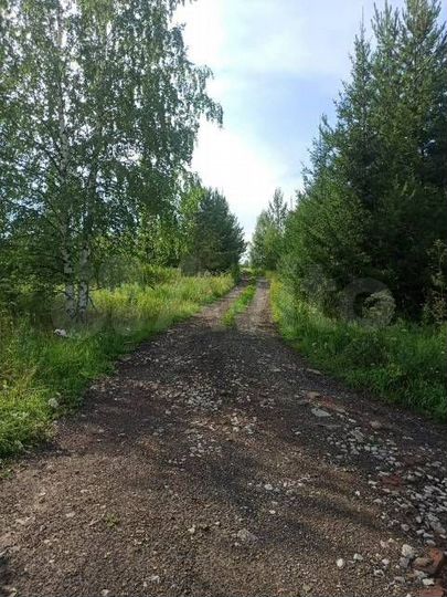 Участок 12 сот. (ИЖС)