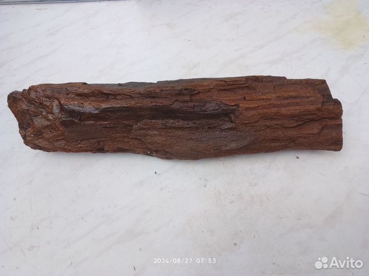 Кусок окаменелой древесины