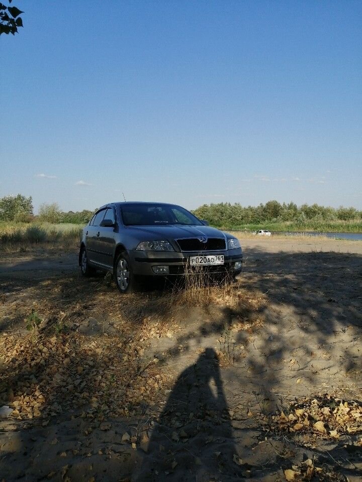 Skoda Octavia: фото владельца