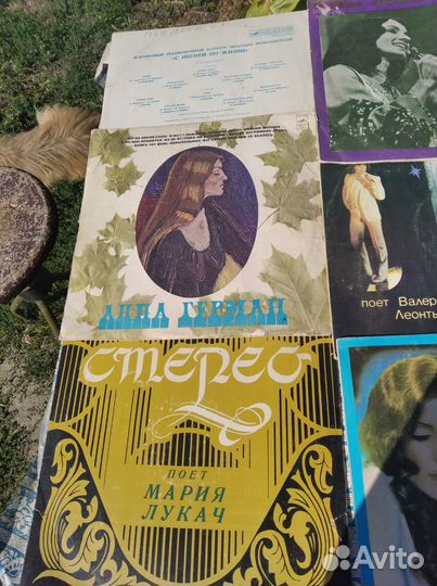 Виниловые пластинки