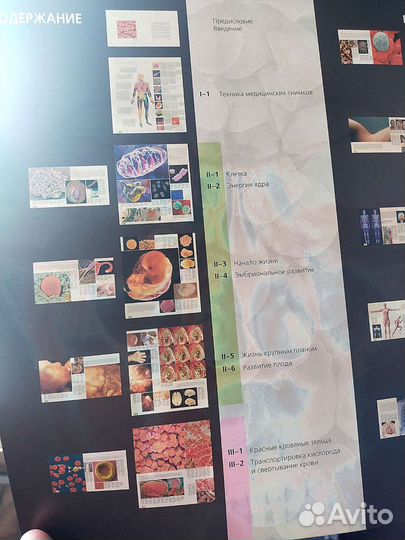 Большой атлас анатомии человека