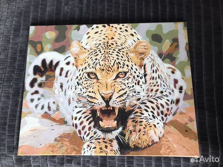 Картира по номерам раскрашенная