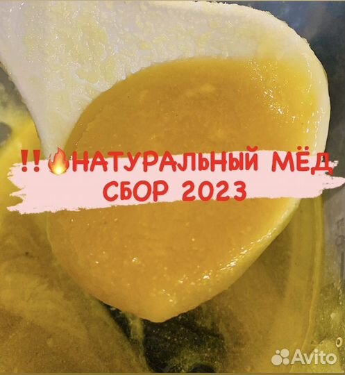 Мёд 2023 года