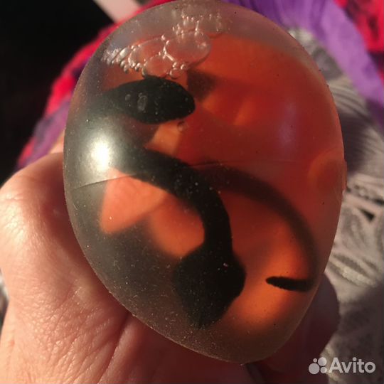 Змей и яйцо с змеями