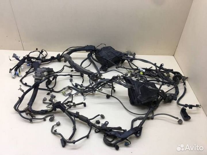 Б/У Б/У Проводка двс 8211142Q308212142C20 toyota