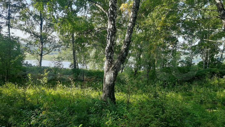 Участок 10 сот. (СНТ, ДНП)