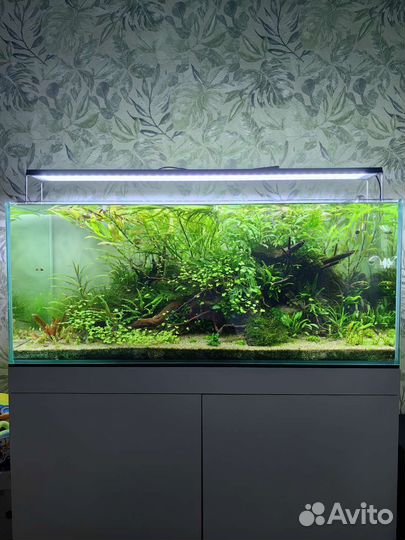 Аквариум 300 литров