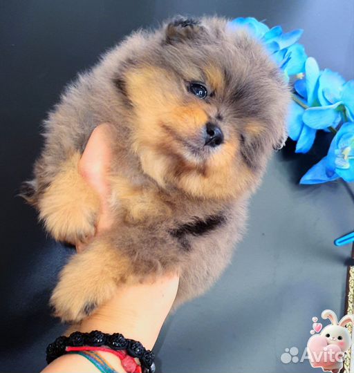 Минюшечка кукольная девочка эксклюзив,доставка