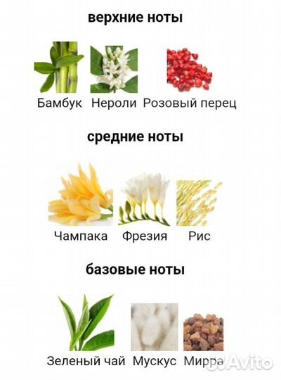 Ormonde jayne champaca 120 ml