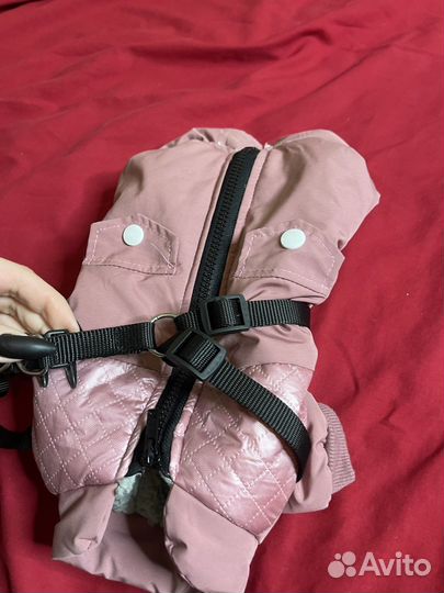 Одежда для собак