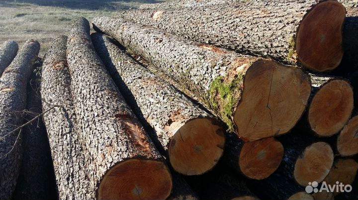 Дрова от производителя