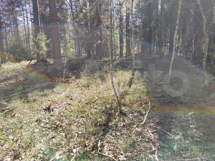 Участок 9 сот. (ИЖС)