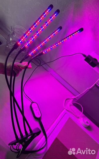 Фитолампа для растений