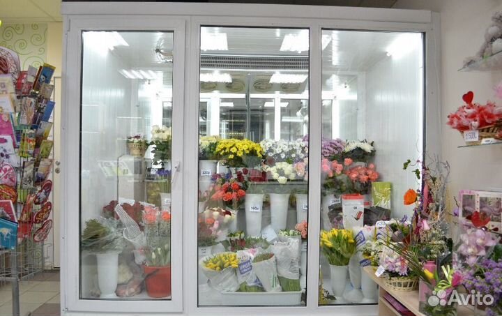 Холодильная камера для молочных продуктов под ключ