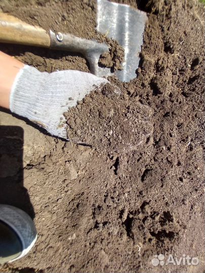 Чернозем отличный Навоз сыпец,камаз 15т,зил 6Т,газ