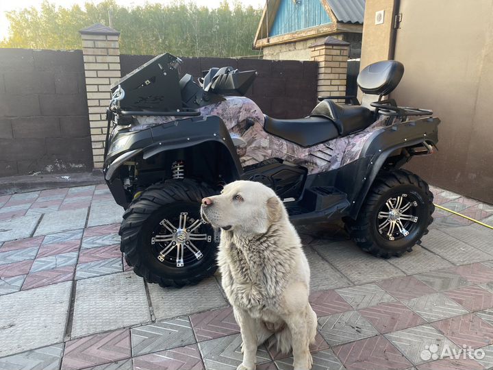 Квадроцикл cfmoto X8 CF800
