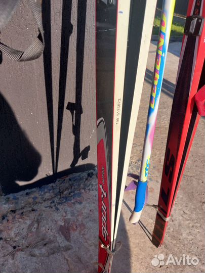 Беговые лыжи