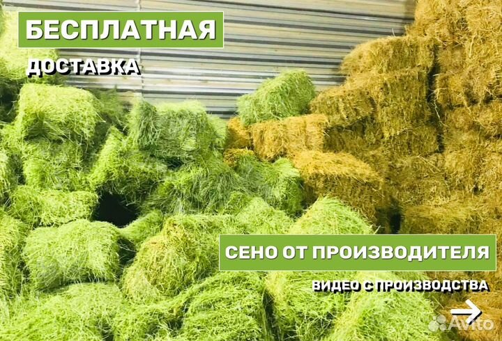 Сено в тюках 2022