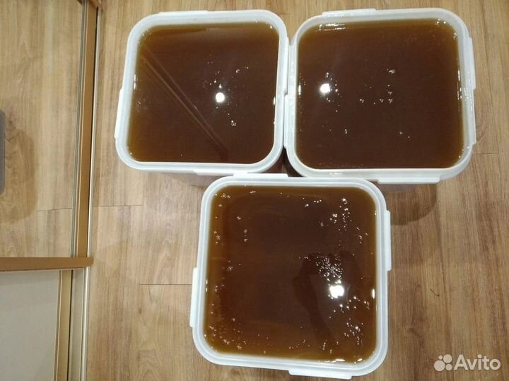 Натуральный мёд Горный Качка 2023 опт