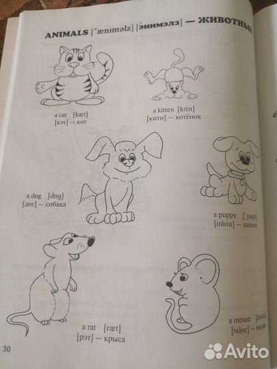 Английский для малышей легко и просто Андрющенко